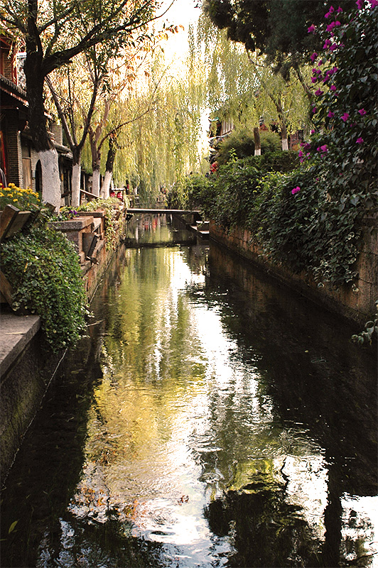 5173 云南行（2）