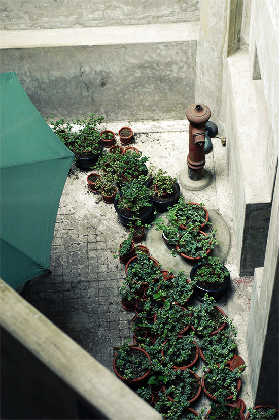 1933 老场坊（5）