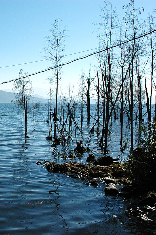 春节云南游（1）—洱海