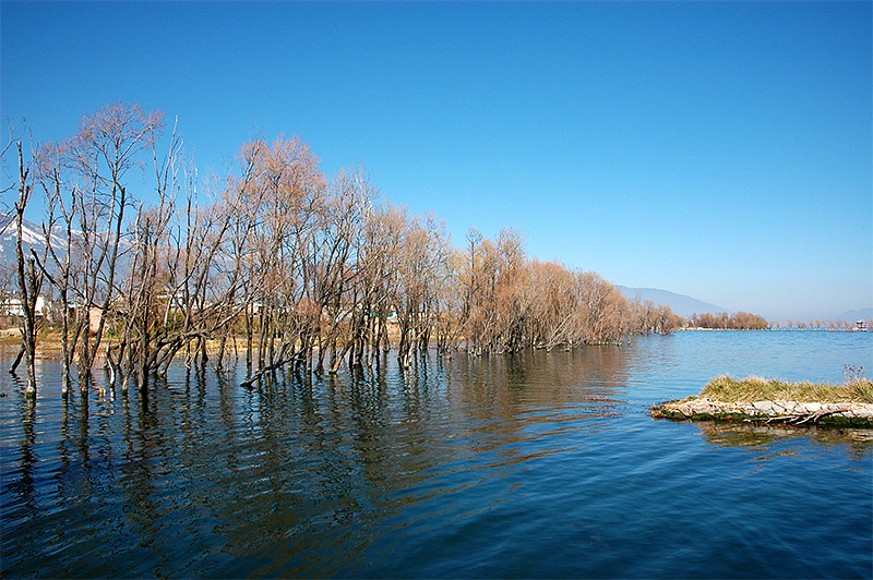 春节云南游（1）—洱海