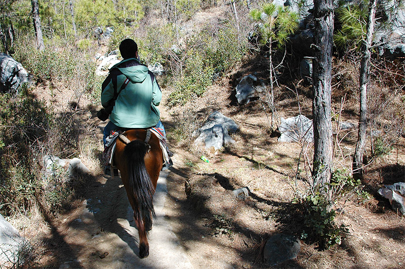 春节云南游（2）—拉市海