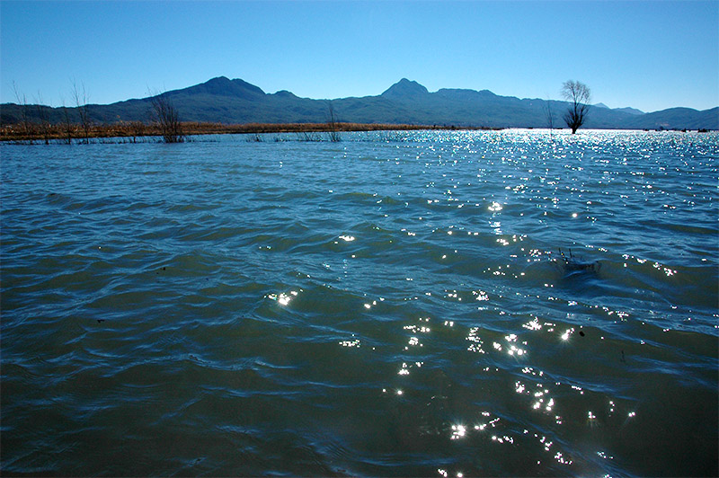 春节云南游（2）—拉市海