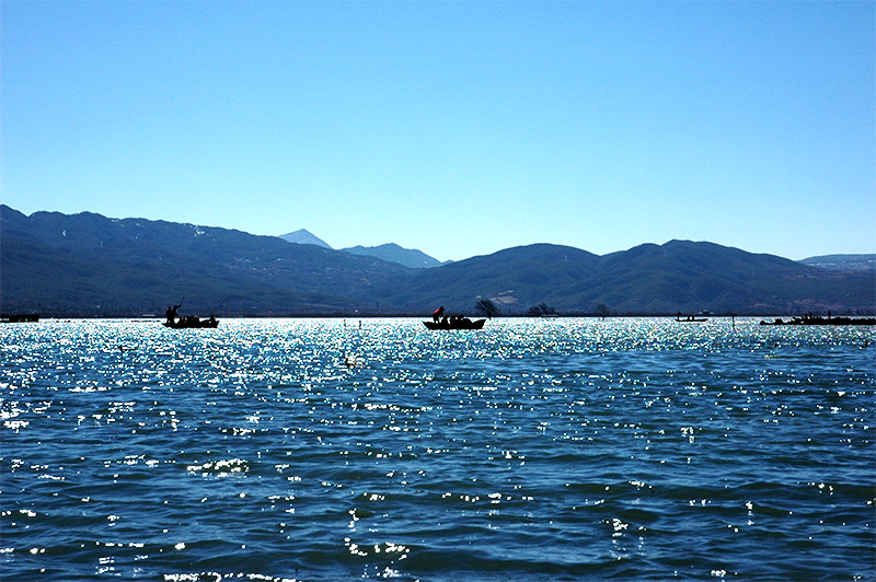 春节云南游（2）—拉市海