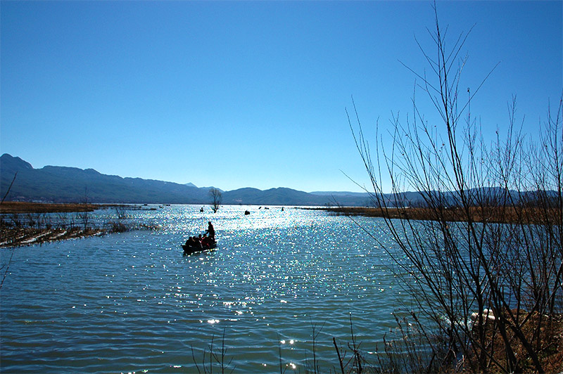 春节云南游（2）—拉市海
