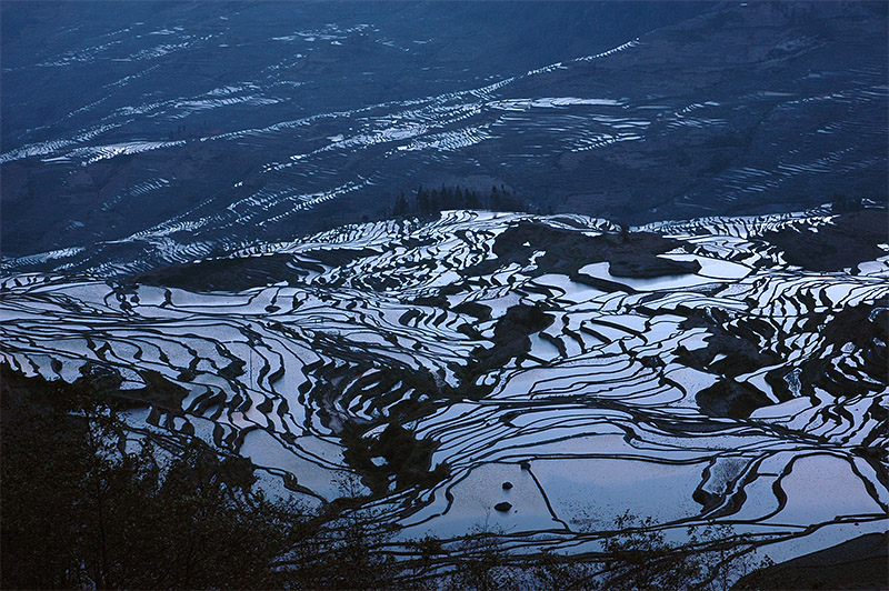 春节云南游（4）—元阳梯田