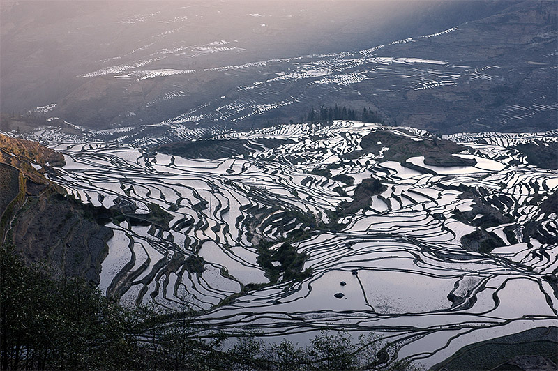 春节云南游（4）—元阳梯田