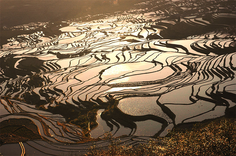 春节云南游（4）—元阳梯田