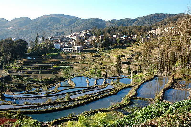 春节云南游（4）—元阳梯田