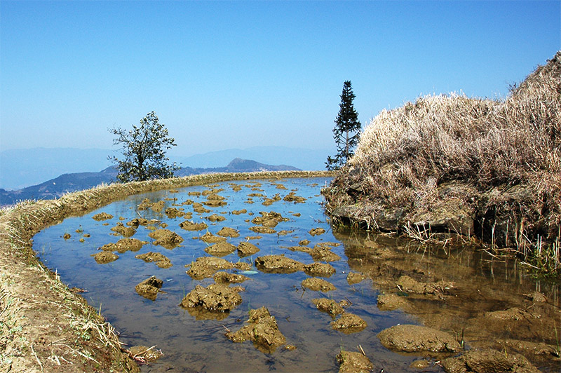 春节云南游（4）—元阳梯田