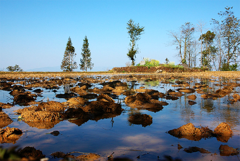 春节云南游（4）—元阳梯田