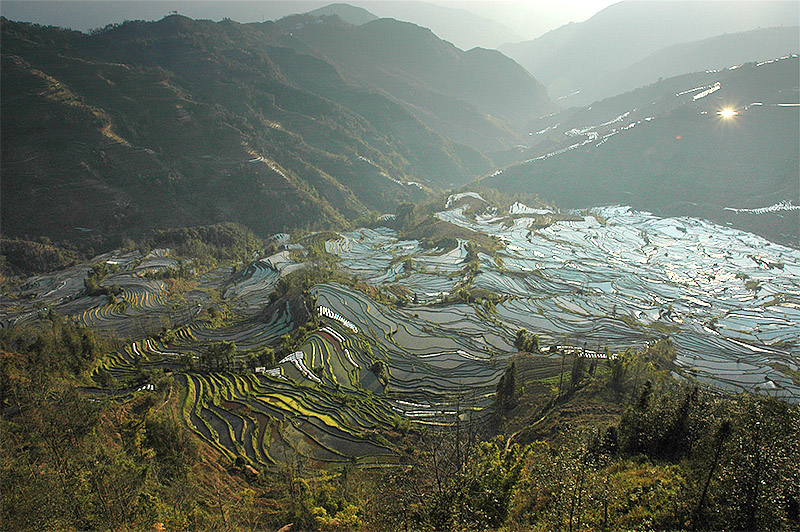 春节云南游（4）—元阳梯田