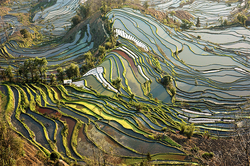 春节云南游（4）—元阳梯田
