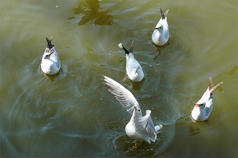春节云南游（5）—昆明