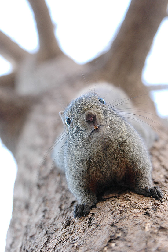 春节云南游（5）—昆明