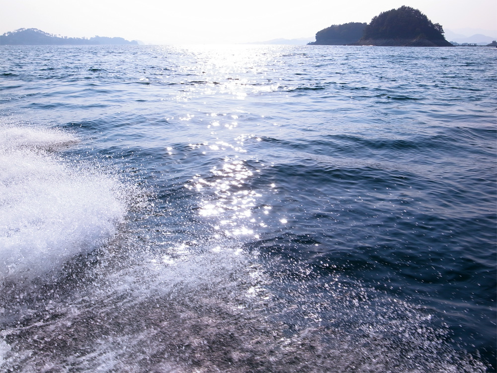 2013 千岛湖-金科游