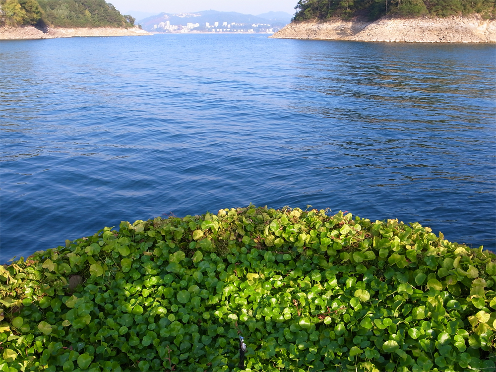 2013 千岛湖-金科游