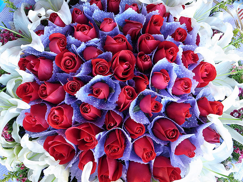 春节云南游（5）—昆明