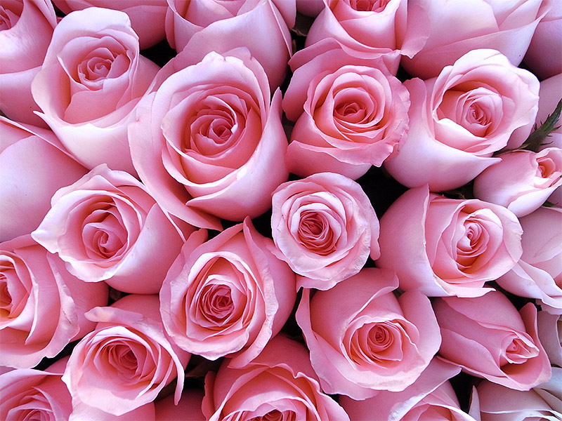 春节云南游（5）—昆明