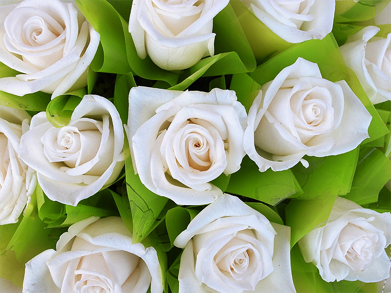 春节云南游（5）—昆明