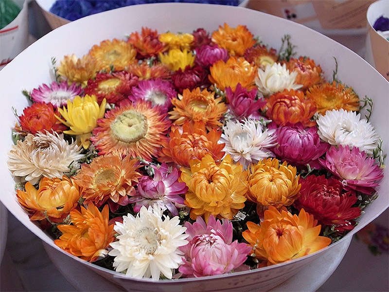 春节云南游（5）—昆明